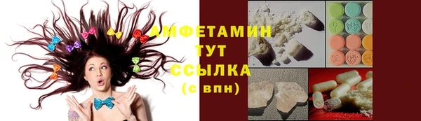 PSILOCYBIN Алзамай