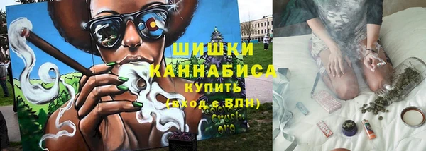 PSILOCYBIN Алзамай