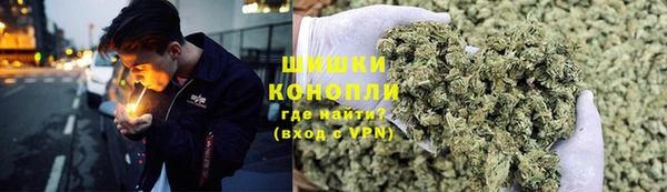 PSILOCYBIN Алзамай